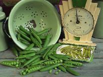 Fresh Garden Peas in an Old Colander with Old Salter Scales and Seed Packet-Michelle Garrett-Photographic Print