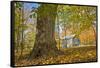 Michigan Barn in autumn-Terry Bidgood-Framed Stretched Canvas