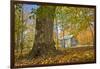 Michigan Barn in autumn-Terry Bidgood-Framed Photographic Print