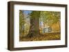 Michigan Barn in autumn-Terry Bidgood-Framed Photographic Print