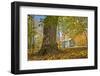 Michigan Barn in autumn-Terry Bidgood-Framed Photographic Print