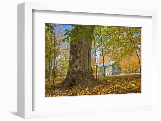 Michigan Barn in autumn-Terry Bidgood-Framed Photographic Print