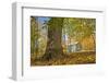 Michigan Barn in autumn-Terry Bidgood-Framed Photographic Print