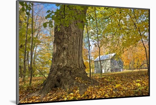 Michigan Barn in autumn-Terry Bidgood-Mounted Photographic Print