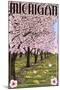 Michigan - Cherry Orchard in Blossom-Lantern Press-Mounted Art Print