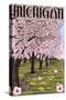 Michigan - Cherry Orchard in Blossom-Lantern Press-Stretched Canvas