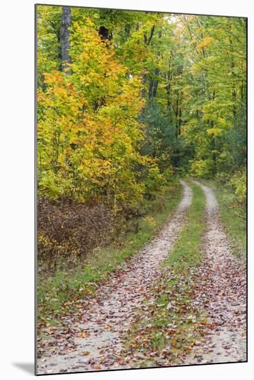Michigan, Hiawatha National Forest, road with trees in fall color-Jamie & Judy Wild-Mounted Premium Photographic Print