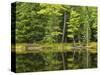 Michigan, Katherine Lake. Pine Trees Reflecting in a Small Lake-Petr Bednarik-Stretched Canvas