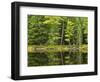 Michigan, Katherine Lake. Pine Trees Reflecting in a Small Lake-Petr Bednarik-Framed Photographic Print