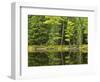 Michigan, Katherine Lake. Pine Trees Reflecting in a Small Lake-Petr Bednarik-Framed Photographic Print