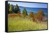 Michigan, Keweenaw Peninsula, Great Sand Bay, view of Lake Superior-Jamie & Judy Wild-Framed Stretched Canvas