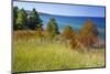 Michigan, Keweenaw Peninsula, Great Sand Bay, view of Lake Superior-Jamie & Judy Wild-Mounted Photographic Print