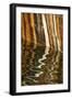 Michigan. Mineral Seep Wall Detail Along Shore of Lake Superior, Pictured Rocks National Lakeshore-Judith Zimmerman-Framed Photographic Print