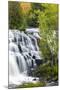 Michigan, Ontonagon County, Bond Falls-Jamie & Judy Wild-Mounted Photographic Print