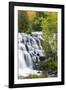 Michigan, Ontonagon County, Bond Falls-Jamie & Judy Wild-Framed Photographic Print