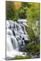 Michigan, Ontonagon County, Bond Falls-Jamie & Judy Wild-Mounted Photographic Print