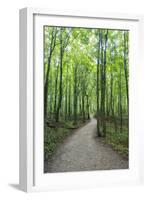Michigan, Pictured Rocks National Lakeshore, trail to Miners Falls-Jamie & Judy Wild-Framed Photographic Print
