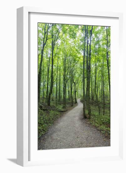 Michigan, Pictured Rocks National Lakeshore, trail to Miners Falls-Jamie & Judy Wild-Framed Photographic Print