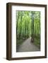 Michigan, Pictured Rocks National Lakeshore, trail to Miners Falls-Jamie & Judy Wild-Framed Photographic Print