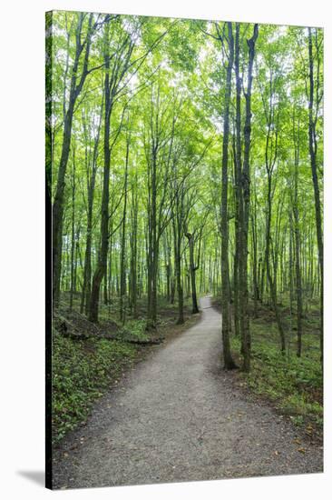 Michigan, Pictured Rocks National Lakeshore, trail to Miners Falls-Jamie & Judy Wild-Stretched Canvas