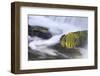 Michigan, Plantcovered Rocks in a Small Waterfall-Petr Bednarik-Framed Photographic Print