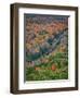 Michigan, Porcupine Mountains. the Big Carp River in Autumn-Julie Eggers-Framed Photographic Print