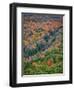 Michigan, Porcupine Mountains. the Big Carp River in Autumn-Julie Eggers-Framed Photographic Print