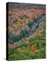 Michigan, Porcupine Mountains. the Big Carp River in Autumn-Julie Eggers-Stretched Canvas