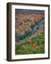 Michigan, Porcupine Mountains. the Big Carp River in Autumn-Julie Eggers-Framed Photographic Print