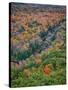 Michigan, Porcupine Mountains. the Big Carp River in Autumn-Julie Eggers-Stretched Canvas