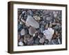 Michigan, Porcupine Mountains Wilderness State Park-John Barger-Framed Photographic Print