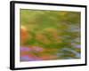 Michigan. Trees Reflect in Cascade Above Bond Falls, Ontonagon River-Julie Eggers-Framed Photographic Print