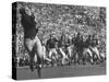 Michigan University's Bob Mann Catching a Pass From His QB Bob Chappuis-John Florea-Stretched Canvas