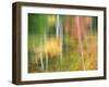 Michigan, Upper Peninsul. Reflection of Blurred Autumn Woodland-Julie Eggers-Framed Photographic Print