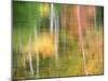 Michigan, Upper Peninsul. Reflection of Blurred Autumn Woodland-Julie Eggers-Mounted Photographic Print