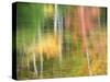 Michigan, Upper Peninsul. Reflection of Blurred Autumn Woodland-Julie Eggers-Stretched Canvas