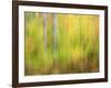 Michigan, Upper Peninsula. a Panned Motion Blur of Autumn Woodland-Julie Eggers-Framed Photographic Print