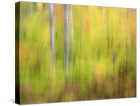 Michigan, Upper Peninsula. a Panned Motion Blur of Autumn Woodland-Julie Eggers-Stretched Canvas