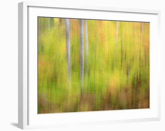 Michigan, Upper Peninsula. a Panned Motion Blur of Autumn Woodland-Julie Eggers-Framed Photographic Print