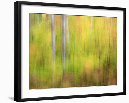 Michigan, Upper Peninsula. a Panned Motion Blur of Autumn Woodland-Julie Eggers-Framed Photographic Print