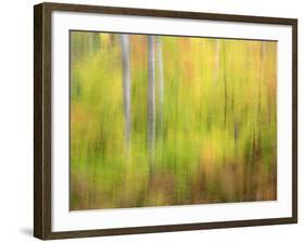 Michigan, Upper Peninsula. a Panned Motion Blur of Autumn Woodland-Julie Eggers-Framed Photographic Print