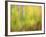 Michigan, Upper Peninsula. a Panned Motion Blur of Autumn Woodland-Julie Eggers-Framed Photographic Print