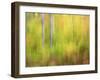 Michigan, Upper Peninsula. a Panned Motion Blur of Autumn Woodland-Julie Eggers-Framed Photographic Print