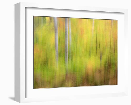 Michigan, Upper Peninsula. a Panned Motion Blur of Autumn Woodland-Julie Eggers-Framed Photographic Print