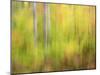 Michigan, Upper Peninsula. a Panned Motion Blur of Autumn Woodland-Julie Eggers-Mounted Photographic Print