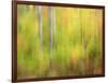 Michigan, Upper Peninsula. a Panned Motion Blur of Autumn Woodland-Julie Eggers-Framed Photographic Print