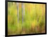 Michigan, Upper Peninsula. a Panned Motion Blur of Autumn Woodland-Julie Eggers-Framed Photographic Print