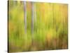 Michigan, Upper Peninsula. a Panned Motion Blur of Autumn Woodland-Julie Eggers-Stretched Canvas