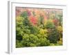 Michigan, Upper Peninsula. Colorful Autumn Tree Scenic-Julie Eggers-Framed Photographic Print