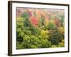 Michigan, Upper Peninsula. Colorful Autumn Tree Scenic-Julie Eggers-Framed Photographic Print